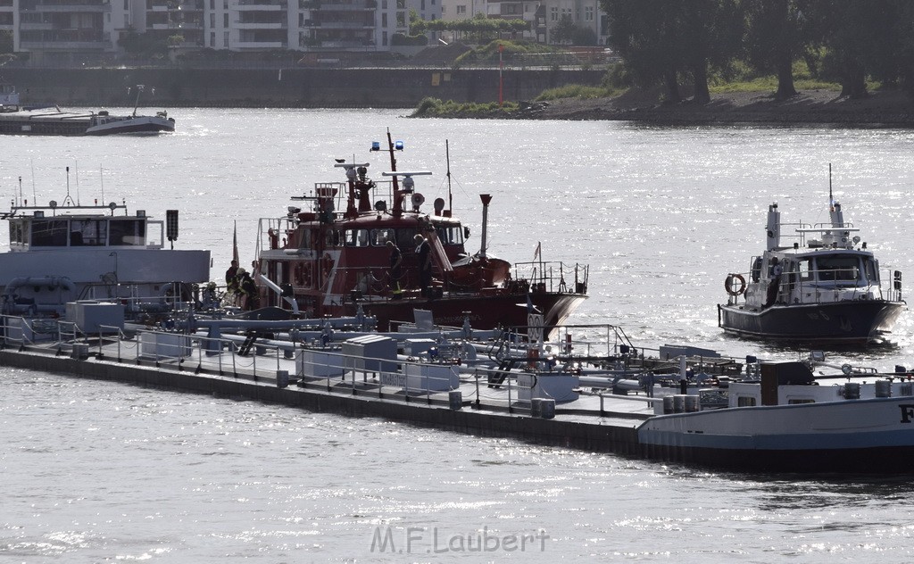 Schiff 1 Koeln in Hoehe der Koelner Zoobruecke P080.JPG - Miklos Laubert